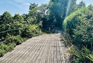 Jagdvilla aus 1910 - vollrenoviert - Top Ruhelage -10 Minuten zu Fuß in die Innenstadt von Baden