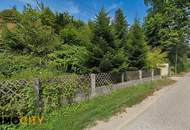 GROSSZÜGIGES BAUGRUNDSTÜCK MIT 1.330 M² IN ALTLENGBACH – BAULAND-WOHNGEBIET MIT ENTWICKLUNGSPOTENZIAL