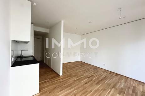 Luxuriöser Erstbezug mit herrlicher Freifläche, Wohnung-miete, 1.310,00,€, 1220 Wien 22., Donaustadt