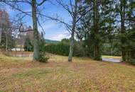 Erstbezug nach Renovierung (EG) und 26.849 m² Land (Tierhaltung erlaubt) !