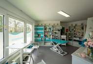 Vielseitige Eckliegenschaft in Top-Lage: Zwei Wohneinheiten + Arbeiten, auch zum Vermieten – alles möglich!