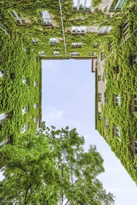 Im Herzen Wiens - provisionsfreie 4-Zimmer-Wohnung