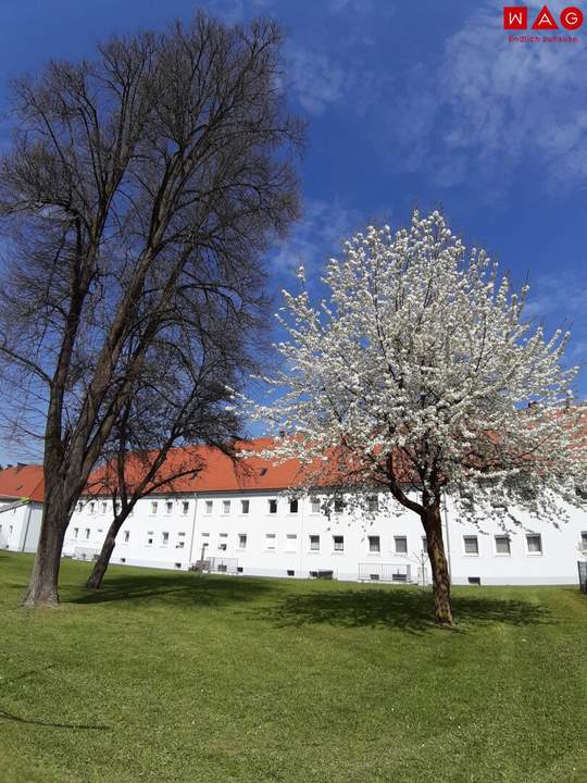 Freundliche 3-Zimmer-Wohnung in grüner Stadtrandlage von Steyr-Münichholz – hell, modern und ideal für entspanntes Wohnen mit Komfort und Charme nach umfassender Sanierung!
