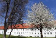Freundliche 3-Zimmer-Wohnung in grüner Stadtrandlage von Steyr-Münichholz – hell, modern und ideal für entspanntes Wohnen mit Komfort und Charme nach umfassender Sanierung!
