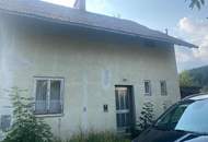 Handwerkerkönig gesucht! Abbruchobjekt, Bauland, Wiese und Wald!