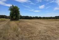 Landwirtschaftliche Grundstücke in Neuberg