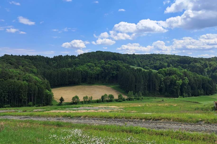 Die eigene Ranch auf 9,2ha Grund und Wald verwirklichen (Provisionsfrei), Grund und Boden-kauf, 380.000,€, 8082 Südoststeiermark