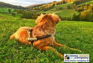 Atemberaubend schöne Landschaft - Südlage - Baugrund 839qm kein Bauzwang !!! Nähe Alland nur 30 Minuten nach Wien!!!