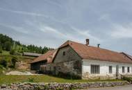 ! ! Neuer Preis ! ! Ehemaliger Bauernhof – Freiraum garantiert!