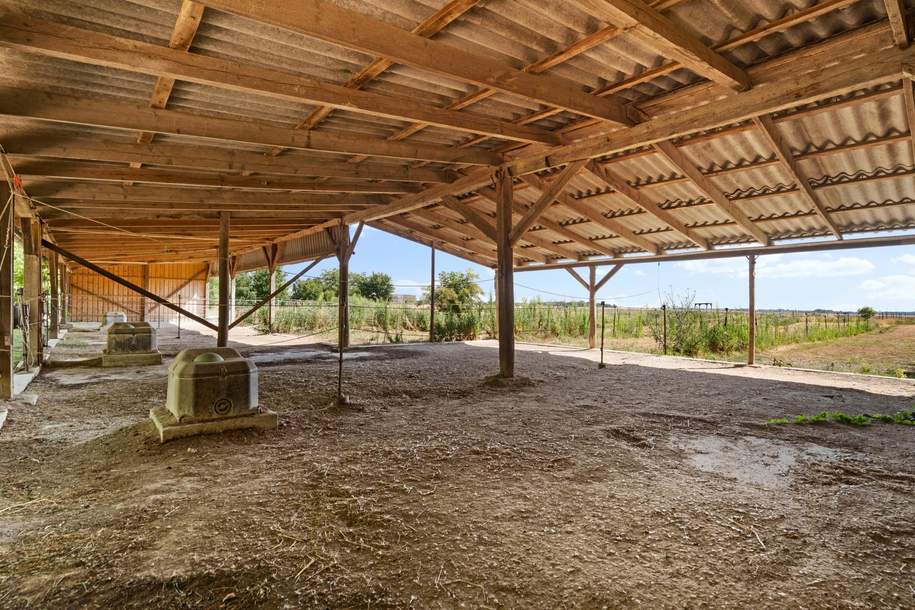 "Großzügiges Grundstück mit Pferdehof und sanierungsbedürftigem Haus – nur Minuten von Wien entfernt", Gewerbeobjekt-kauf, 749.000,€, 2301 Gänserndorf