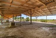 "Großzügiges Grundstück mit Pferdehof und sanierungsbedürftigem Haus – nur Minuten von Wien entfernt"