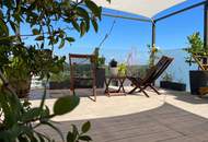 Die 3 drei D`s / Döbling. Donau. Dachterrasse