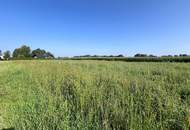 Ebener Baugrund in sonniger Ortsrandlage