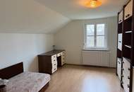 Großfamilienhit - zwei Häuser mit großem Garten