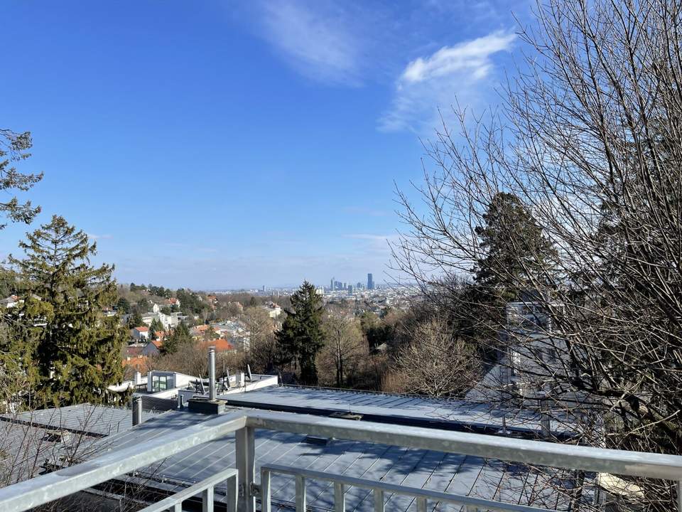 PENTHOUSE LIVING - FIXPREIS - ATEMBERAUBENDER WIENBLICK - 3 RIESEN TERRASSEN - ERSTBEZUG!