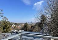 PENTHOUSE LIVING - FIXPREIS - ATEMBERAUBENDER WIENBLICK - 3 RIESEN TERRASSEN - ERSTBEZUG!
