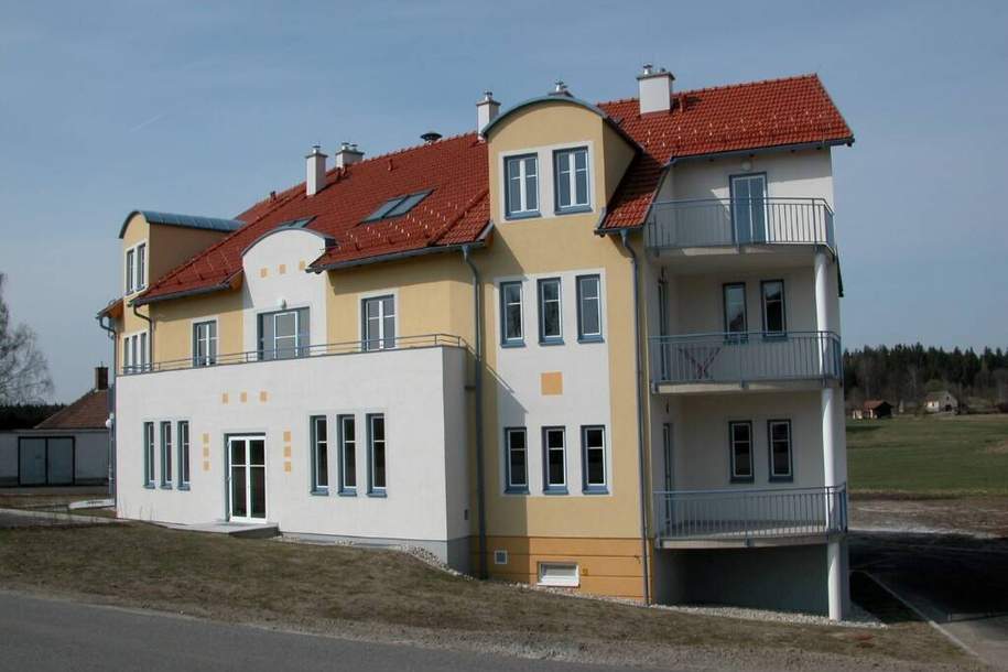 Helle 3 Zimmer Wohnung mit Fernblick, Wohnung-miete, 812,15,€, 3872 Gmünd