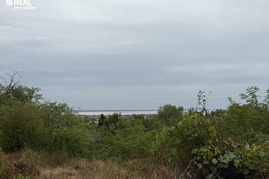 Rarität am Kirchberg – Exklusives Baugrundstück mit unverbaubarem Seeblick, Grund und Boden-kauf, 699.000,€, 7100 Neusiedl am See