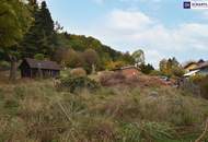 Am Waldrand bauen – und trotzdem nah zur Stadt!