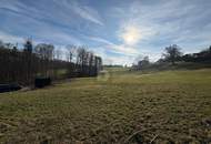 WOHNEN AUF HÖCHSTEM NIVEAU, KEIN BAUZWANG - SÜDHANG IN RUHELAGE MIT ZENTRUMSNÄHE