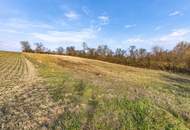 EINZIGARTIGE GELEGENHEIT! BAUERNHOF MIT 9789 m² LANDWIRTSCHAFT & 2421 m² WEINGARTEN! FÜR NATURFREUNDE & TIERLIEBHABER!