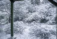 SONNIGES ZUHAUSE IM HERZEN VON SIEVERING I mit Südbalkon I hochwertige & moderne Ausstattung I hofseitiges Schlafzimmer I Einbauküche I Fußbodenheizung I Nähe Obkirchergasse