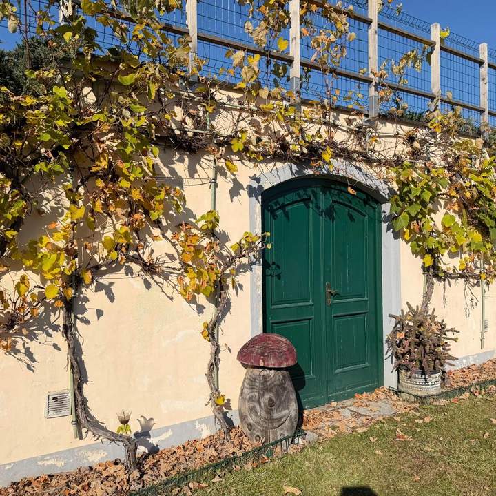 Landwirtschaft - Pferdehaltung - Wohnen in Aussichtslage mitten in der Natur auf 8 Ha