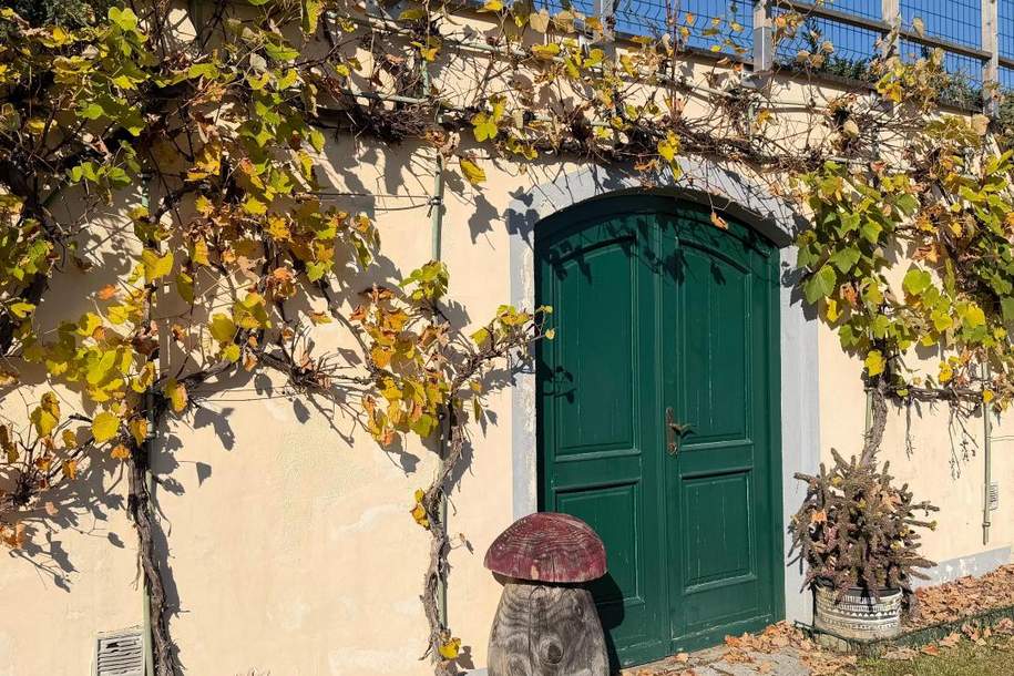 Landwirtschaft - Pferdehaltung - Wohnen in Aussichtslage mitten in der Natur auf 8 Ha, Gewerbeobjekt-kauf, 799.000,€, 8302 Graz-Umgebung