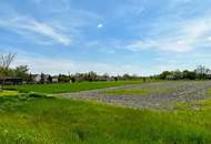 Bau- und Freizeitgrundstücke in UNGARN neben der Grenze | Bis zu 9.285 m2 erweiterbar! | Natur pur in der UNESCO-Kulturlandschaft Fertő-Neusiedler See!