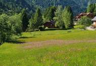 Traumhaftes Baugrundstück in Donnersbachwald Nähe Riesneralm (Provisionsfrei)