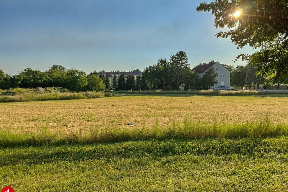 Betriebsgrundstück in 2434 Götzendorf, Grund und Boden-kauf, 2434 Bruck an der Leitha