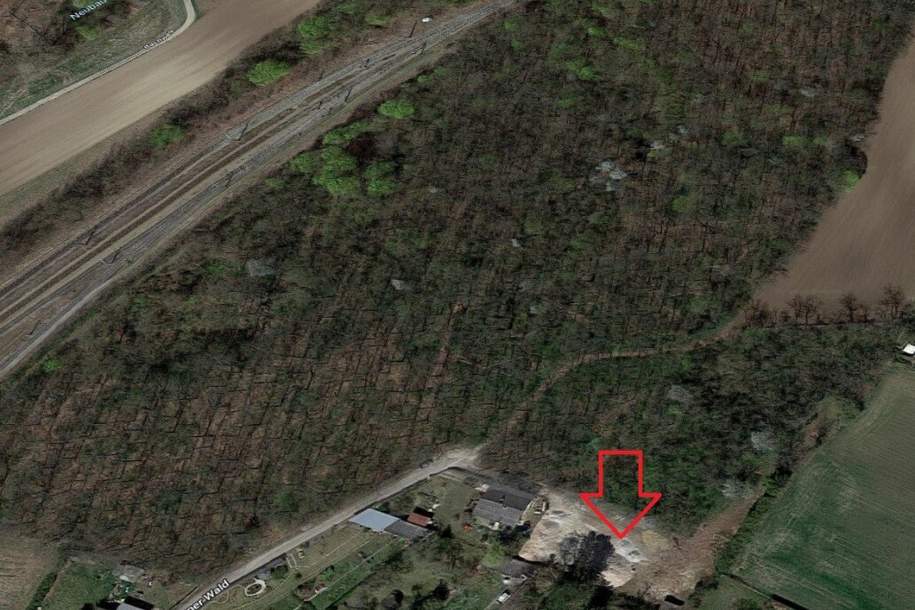 Baugrundstück - Am Bräuner Wald | 2125 Neubau (Bauplatz 2 + LN), Grund und Boden-kauf, 195.000,€, 2125 Mistelbach
