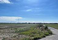 Großes Ackergrundstück zu Verkaufen!