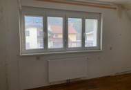 Einfamilienhaus am Stadtrand von Gloggnitz! Garten und romantisches Nebengebäude!