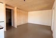 Moderne 4-Zimmer Maisonettewohnung mit großer Dachterrasse und zwei Balkone