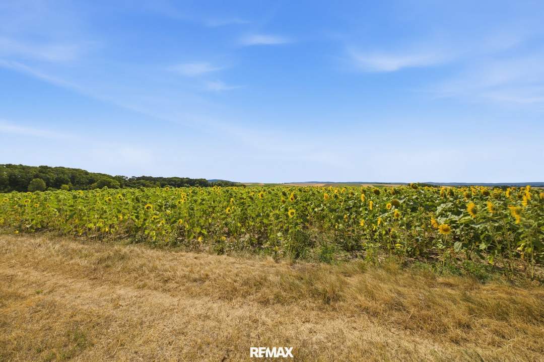 Landwirtschaftliche Fläche ´mit 7926 m² in Untermallebern zu verkaufen!