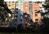 WELS | NEUSTADT: Top-renovierte 2-Zimmer-Wohnung mit Weitblick über die Dächer von Wels!