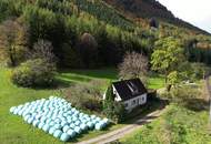 Romantisches Cottage in Alleinlage auf 5.555 m² Grund mit großzügigem Holzbezugsrecht