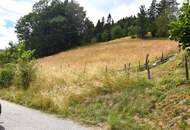Himmlisches Grundstück nähe Urbansee und Schigebiet Simonhöhe