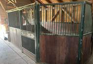 Exklusiver Pferdehof mit 2 Wohneinheiten, Reithalle &amp; großem Grund in Hochneukirchen