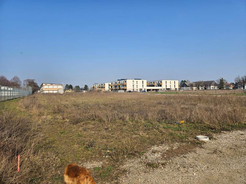 Eckbaugrundstück ohne Einheitenbeschränkung