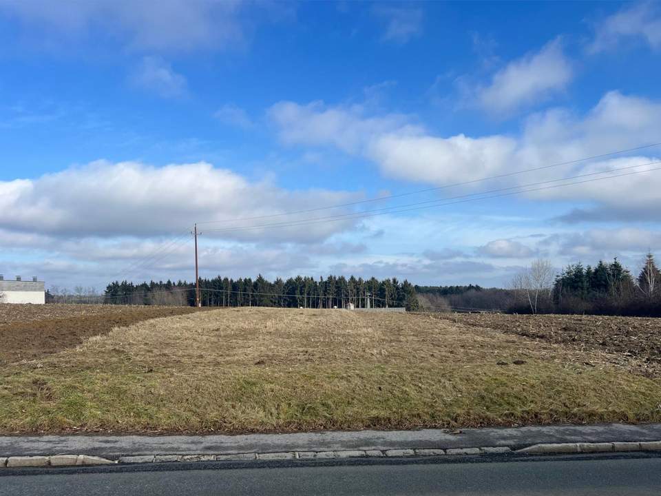 Grundstück mit Widmung gemischtes Baugebiet und Hausgärten