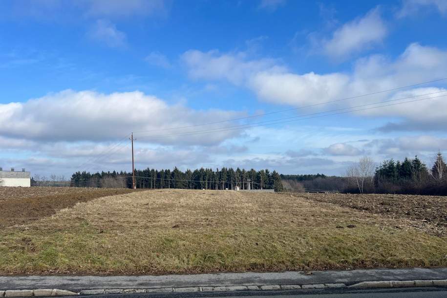 Grundstück mit Widmung gemischtes Baugebiet und Hausgärten, Grund und Boden-kauf, 28.000,€, 7552 Güssing