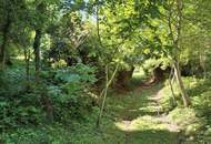 Grundstück für Freigeister in idyllischer Waldlage