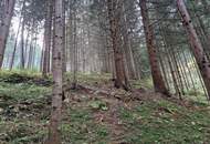 Zusammenhängende, ca. 2,35 ha große Waldfläche in Weitenbach bei Reichenfels im Lavanttal