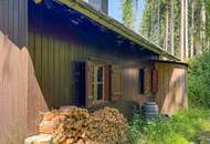 PERFEKTER HOBBY-WALD mit Arbeitshütte !