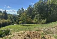 Wohnhaus mit Garage auf traumhaftem Grundstück am Waldrand mit herrlichem Ausblick zu verkaufen