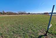 Baugrundstück am Stadtrand in Purbach !