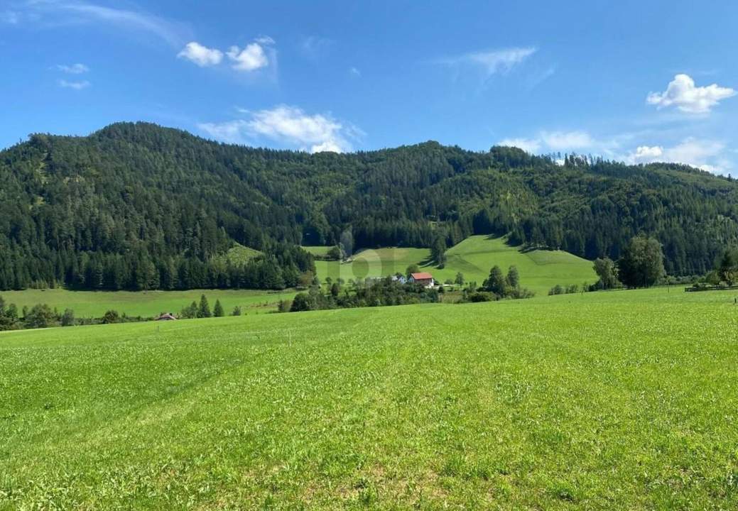 BAUEN STATT KOMPROMISSE EINGEHEN ? SONNIGER, EBENER UND VOLL AUFGESCHLOSSENER TRAUM-BAUGRUND IN RUHELAGE.