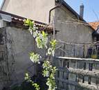 Tadten: Ausstattungszustand "kernsaniert und bezugsfertig"- Besichtigung auch Abends oder Wochenende möglich